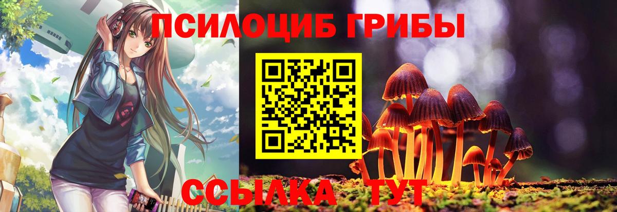 Галлюциногенные грибы прущие грибы Арсеньев